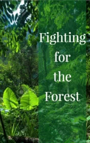 descarca-clare-gray-fighting-for-the-forest-pdf