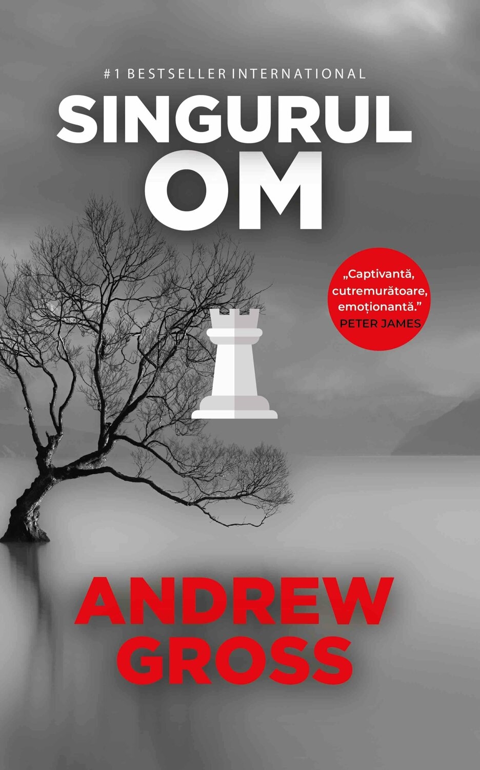 descarca-andrew-gross-singurul-om-pdf