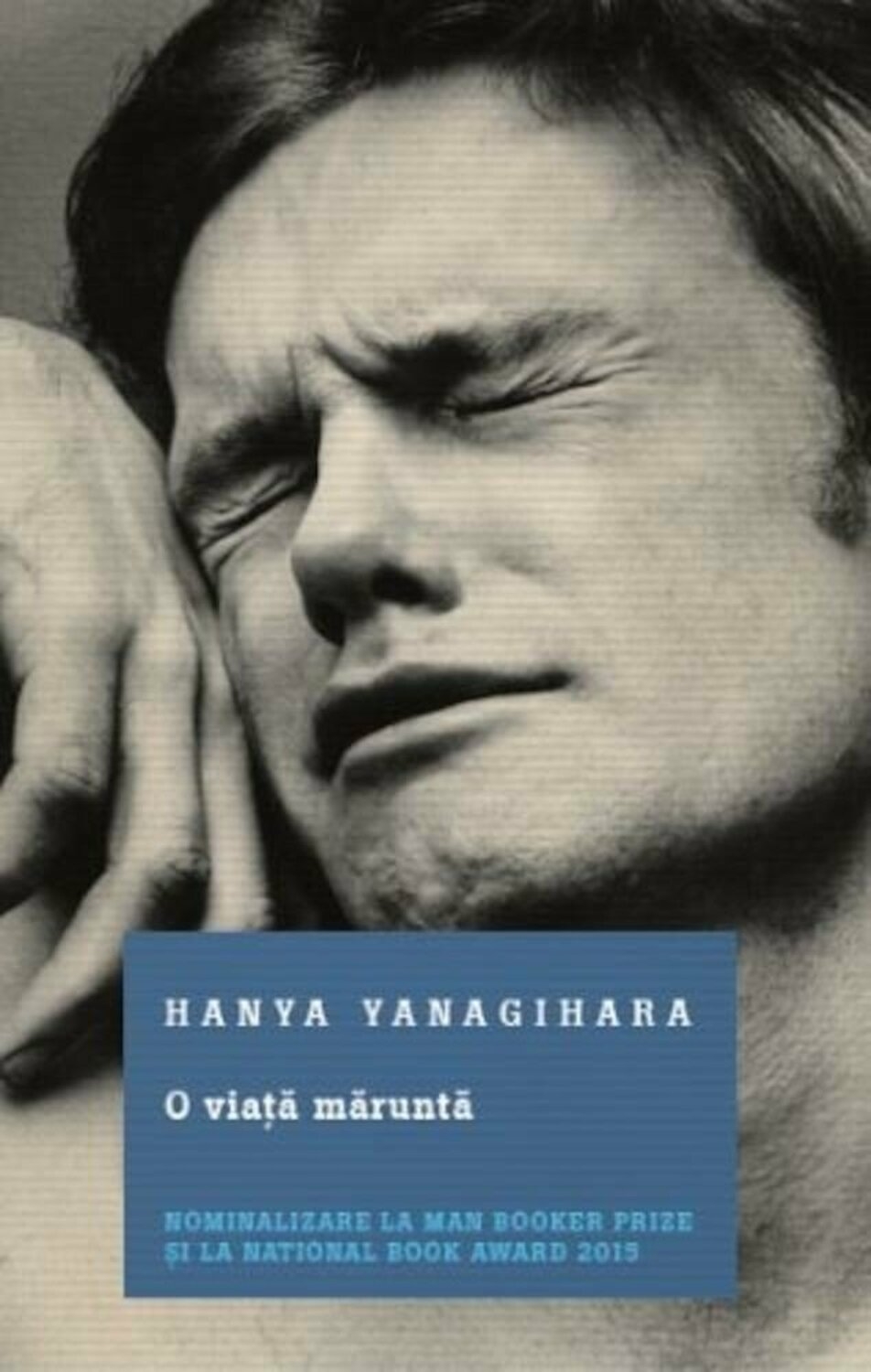 descarca-hanya-yanagihara-o-viata-marunta-pdf