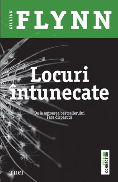 descarca-gillian-flynn-locuri-intunecate-pdf