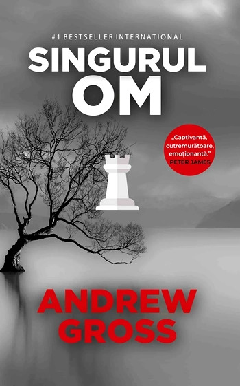 andrew-gross-singurul-om-pdf