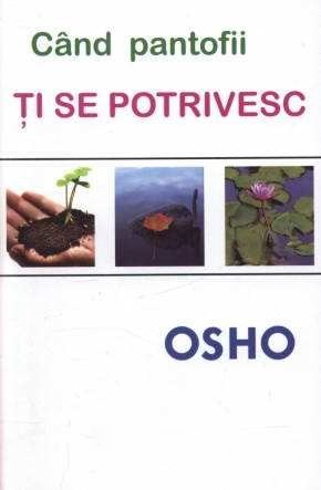 Cînd Pantofii Ți Se Potrivesc