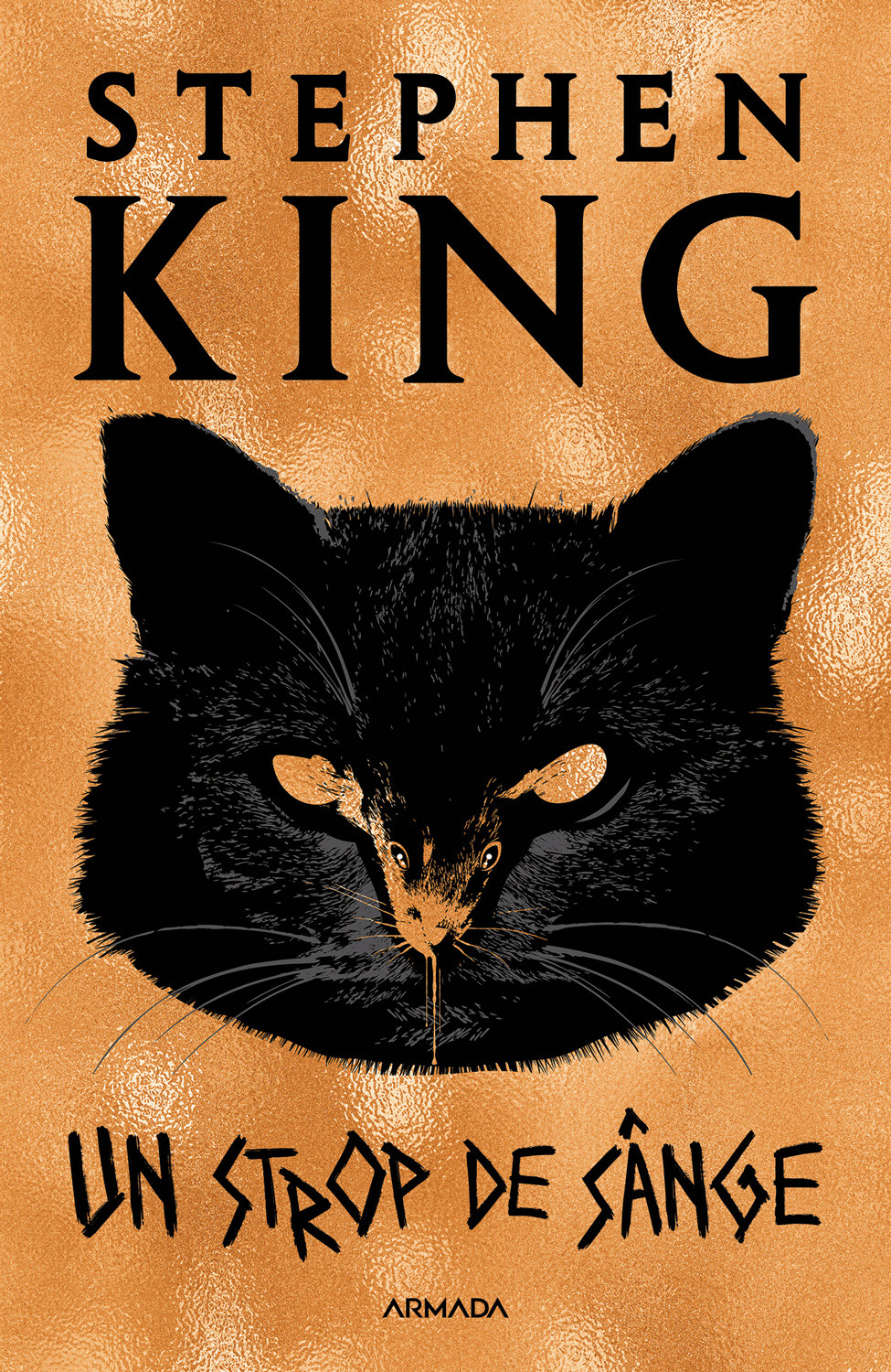 stephen-king-un-strop-de-sange-pdf