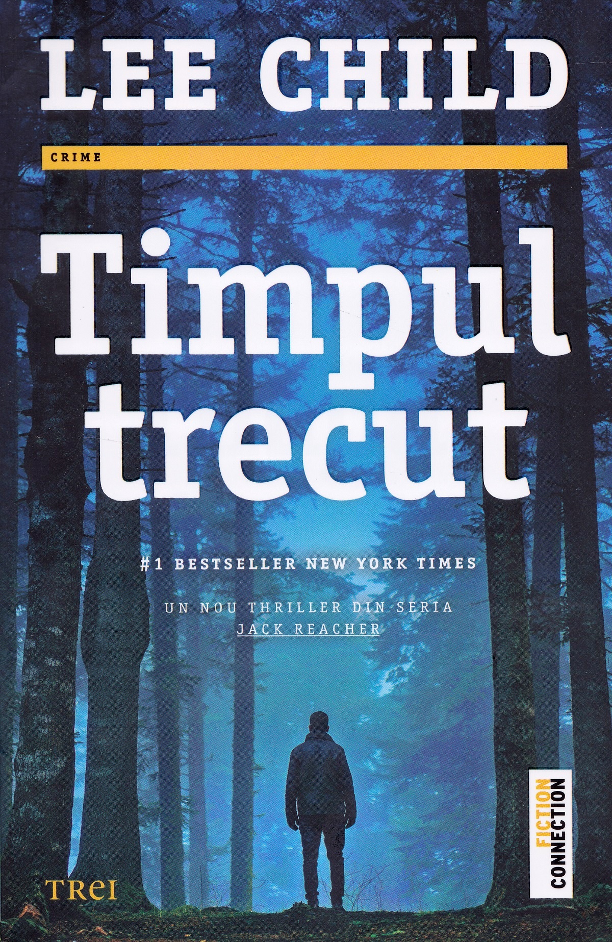 Timpul trecut