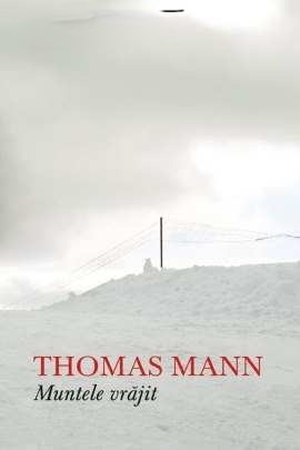 thomas-mann-muntele-vrajit-top-de-citit-intr-o-viata-pdf