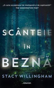 Scanteie in bezna