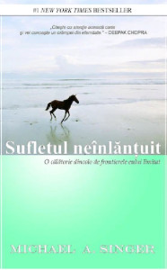 descarca-michael-a-singer-sufletul-neinlantuit-pdf