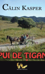 descarca-calin-kasper-pui-de-tigan-pdf