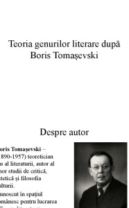 Teoria literaturii - poetica