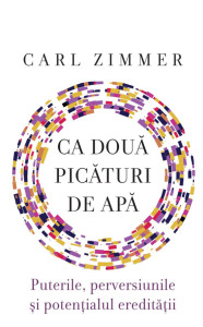 Ca doua picaturi de apa