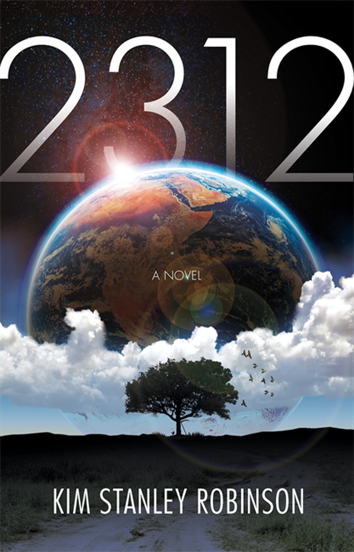 descarca-kim-stanley-robinson-2312-pdf